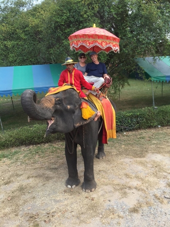 Debbie, Travel Client, posing on an elephant during her vacation in Southeast Asia.