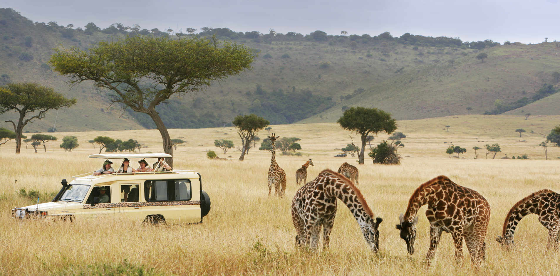 Safari Planning Specialists Departure Lounge