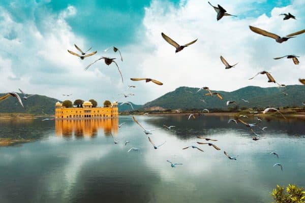 Birds flying over the Jal Mahal in India