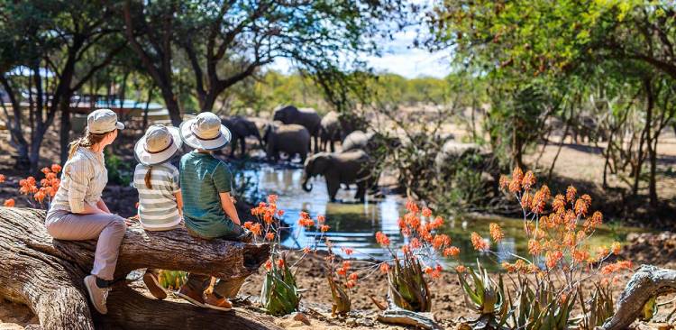 Photo of a family on a safari