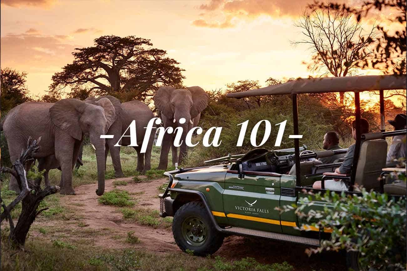 Photo of a safari with the text "Africa 101"