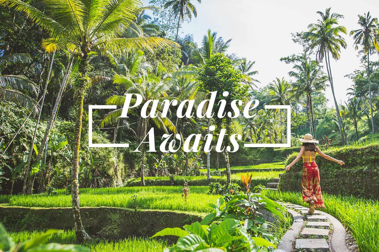 Tegalalang Rice Terrace, Ubud, Bali