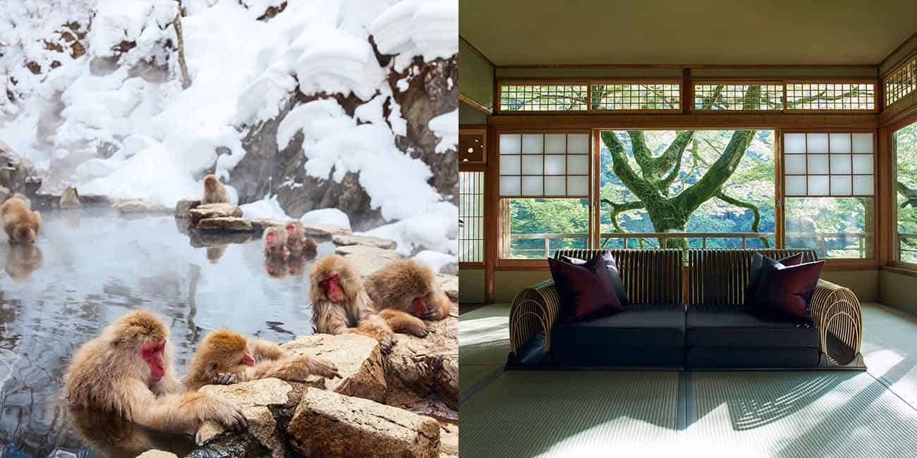 Left: Snow Monkey Park | Right: Hoshinoya Kyoto