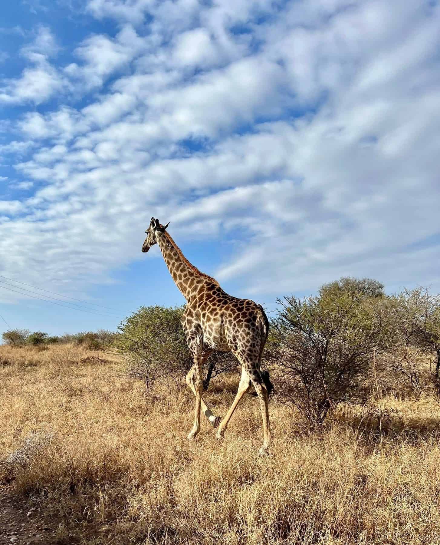 524208533 10223624987773132 2510489580560527827 n.jpg