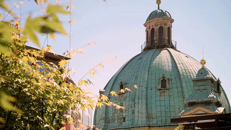 Rosewood Vienna
