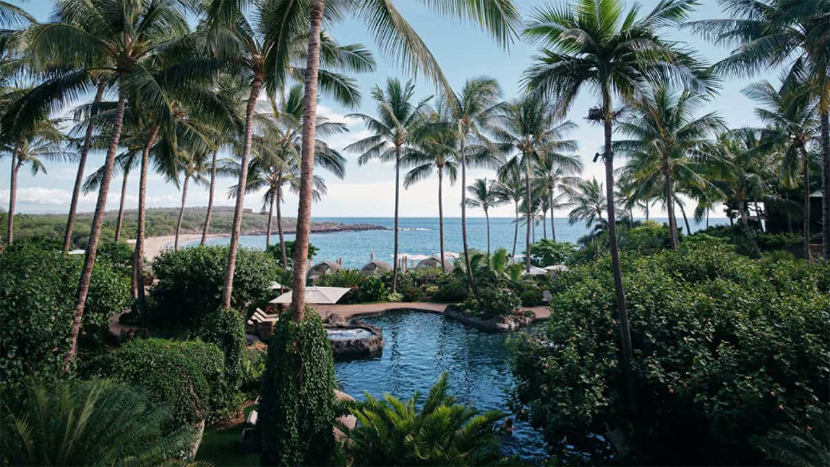 A tranquil tropical resort scene featuring tall palm trees, lush greenery, and a sparkling pool, with a view of the ocean and a sandy beach in the background.
