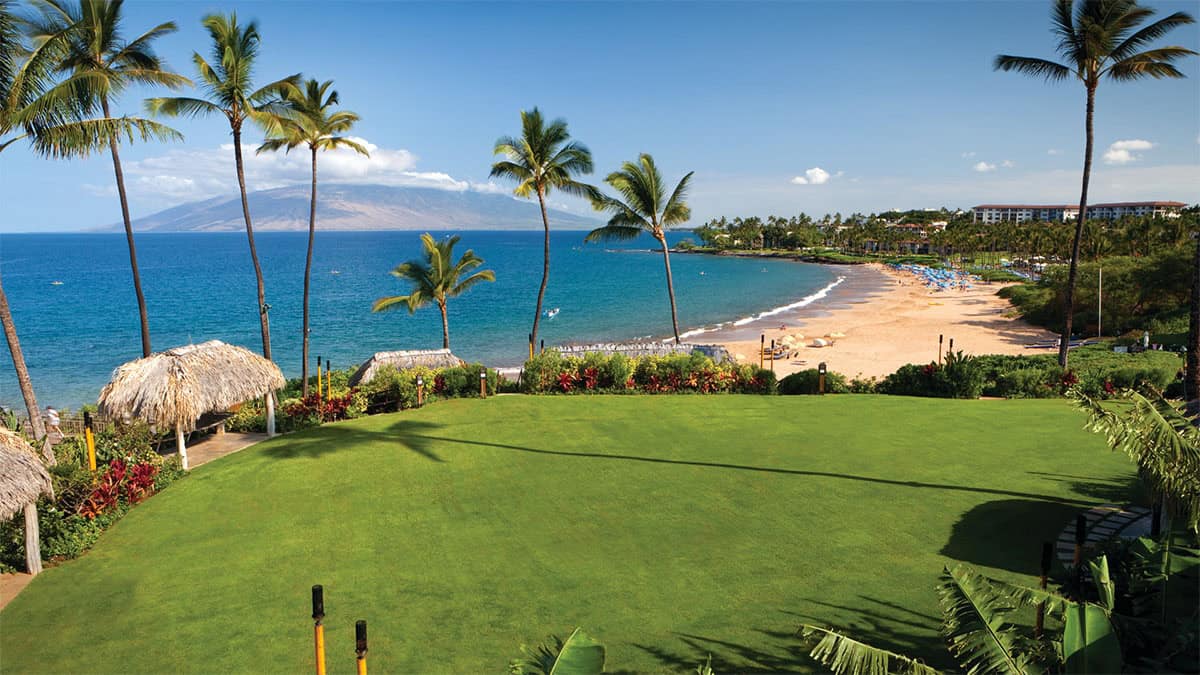 A scenic view from a grassy area overlooking a beach, framed by palm trees, with calm blue waters and a distant island visible in the background.